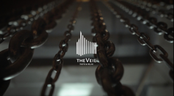 Добро пожаловать в The Veil!